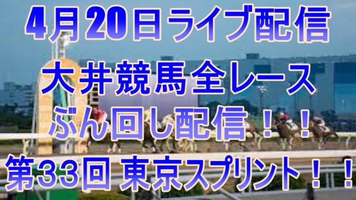 大井競馬ライブ　メインレース第３３回 東京スプリント