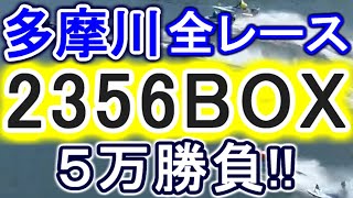 【競艇・ボートレース】多摩川で全レース「2356BOX」５万勝負！！