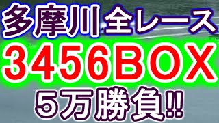 【競艇・ボートレース】多摩川で全レース「3456BOX」５万勝負！！