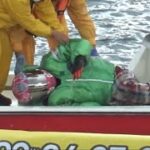 【GⅡ競艇】閲覧注意、救助艇で横たわる⑥香川素子