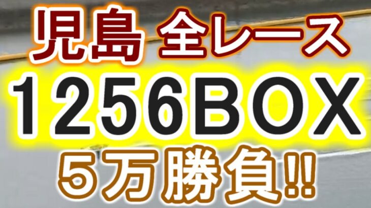 【競艇・ボートレース】児島全レース「1256BOX」５万勝負！！