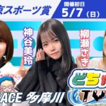 どちゃんこTV【第58回東京スポーツ賞：初日】5/7（日）